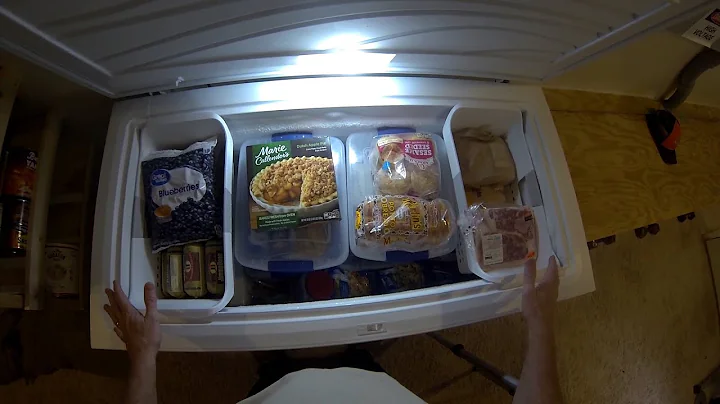 Organizing My Prepper Freezer