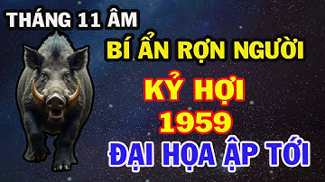 Nghe Xong Giật Mình! KỶ HỢI 1959  Kẻo Đại Hoạ Ập Đến, Hao Tài, Tốn Phúc, Mất Lộc Trời Cho. T.11 Â