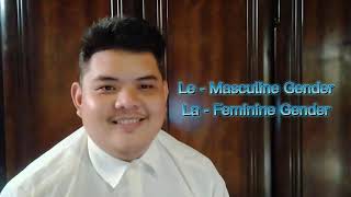 Definite and Indefinite article in french