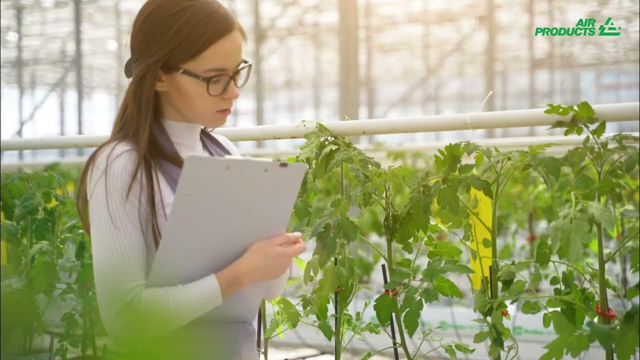 Adding carbon dioxide in greenhouses. Generating a Cleaner Future in