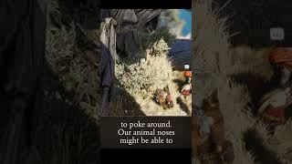 brawn — Divinity: Original Sin 2 dialogue scene