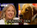 EDIBLE dog cards go down a TREAT in the Den 🐶🐾🥺 | Dragons&#39; Den - BBC