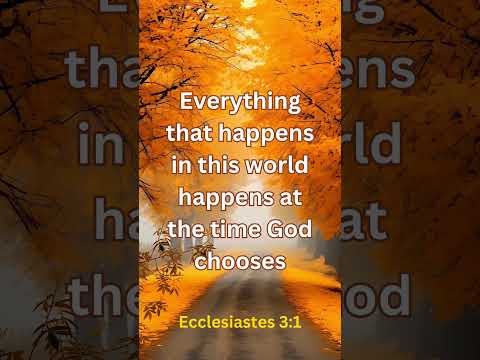 God’s Perfect Timing
