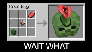 Minecraft wait what meme part 16 - Crafting Crazy Zombie