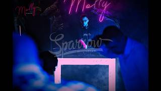 DJ | Mr. Sparrow - | Live| Sessions | Mix | Molly bar. #рекомендации #music #live #set #mix