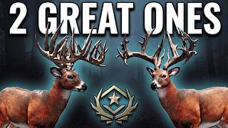 Great One #80 & #81 — Double Whitetail Harvest! COTW