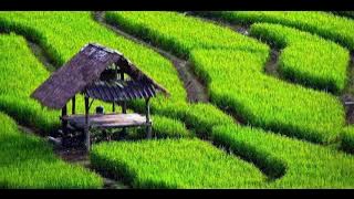 MUSIK SUNDA 100% NO COPYRIGHT | SUDAH DICOBA