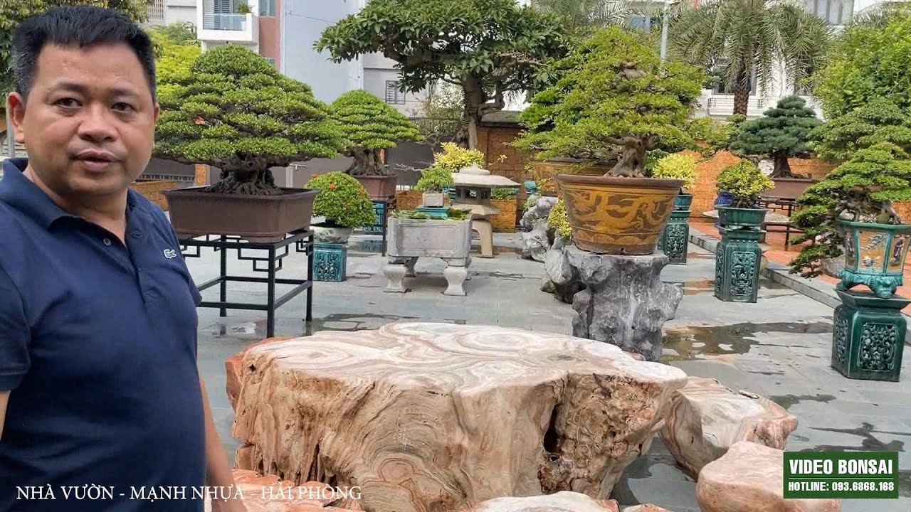 VD : VƯỜN CÂY MANG TẦM CỠ QUỐC TẾ - CỦA EM MẠNH NHỰA - HẢI PHÒNG