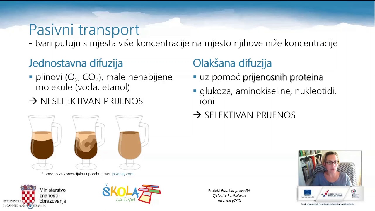 Pripreme za DM - Biologija: Prijenos tvari kroz membranu