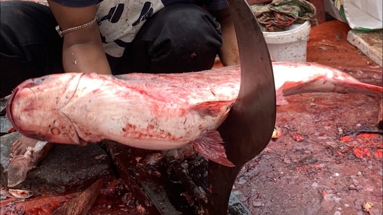 I never seen ll amazing big pangash fish cutting live skills by expert fish cutter in Fishmarket 