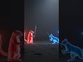 They Met… and a Tiny Duel Began | Marmot and Cat #shorts