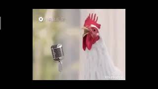 Chicken Ring tone