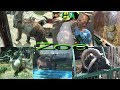 Потап и Настя в зоопарке/Как орёт ЗЕБРА/Vlog из зоопарка....