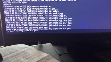 Google Assistant on Raspberry Pi