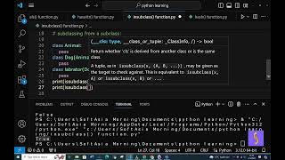 (SY) issubclass() built_in function in python