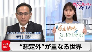 脱炭素で電気代どこまで上がる？　新村直弘氏　マーケット・リスク・アドバイザリー　共同代表　【角谷暁子の「カドが立つほど伺います」】（2021年11月2日）