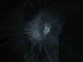 I AM ___ (24 Oct 2025___7:30pm BST)
