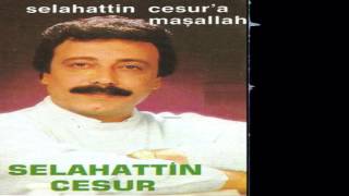 Selahattin Cesur - Sensiz Geceler Resimi