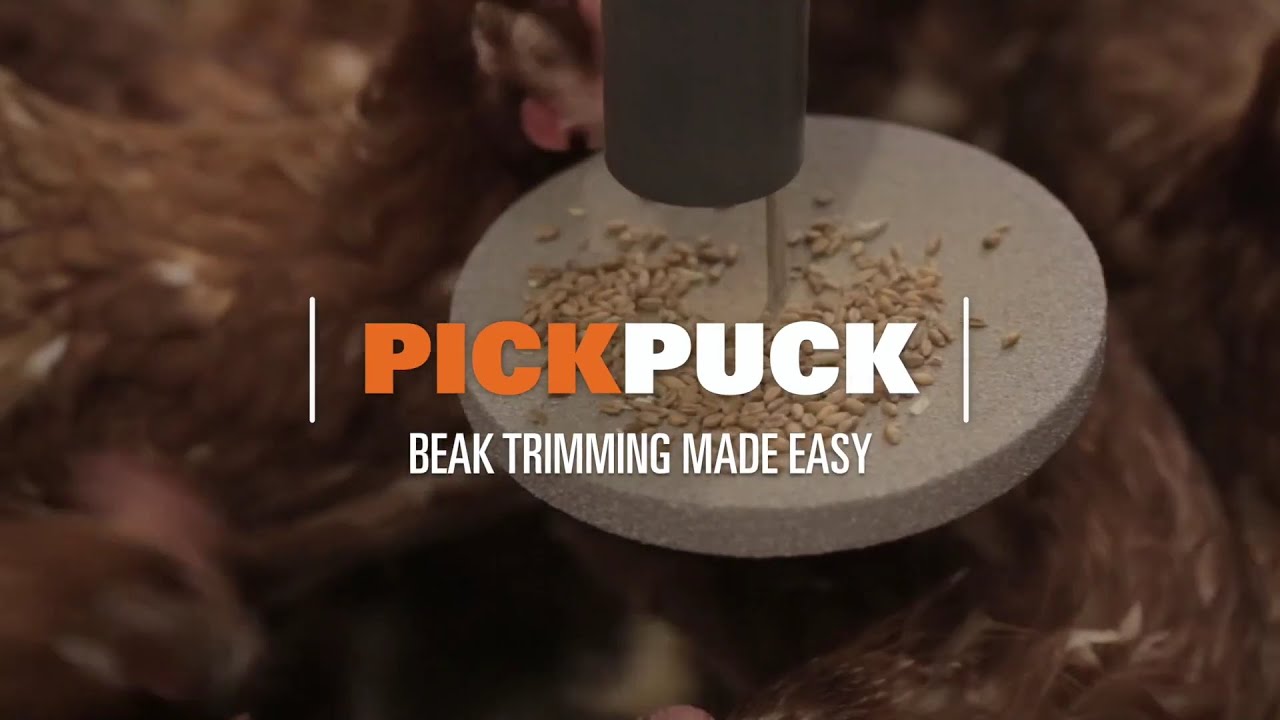 Pickwick Device PickPuck Enrichment Device - YouTube