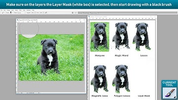 Photoshop CS2 Tutorial: Making a Selection