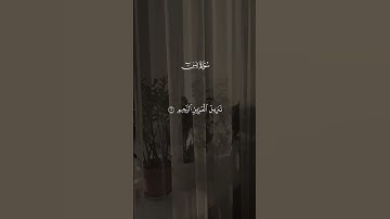 💫 تلاوة قصيرة من سورة يس بصوت خاشع استمع بخشوع وتدبر معاني كلام الله 🌿#سورة_يس #القرآن_الكريم