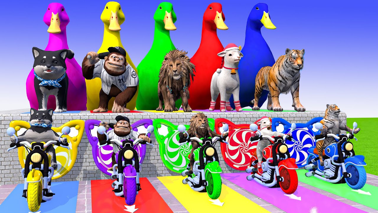 Long Slide Game With Cow Elephant Gorilla Hippopotamus Tiger 3d Animal Game Funny 3d Animals