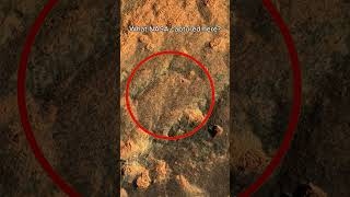 NASA Just Released This Mars Photo — Sol 182 👀