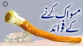 Details Benefits of Miswaak || Uses of Miswaak || MA001 Guide