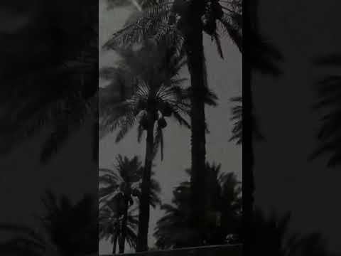 ماه زك ح نين و يوم ت شت اك ولا گلبك يسألك ص اح بك و ين