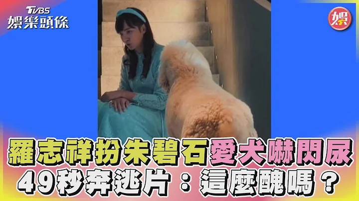 【星聞爆爆】羅志祥扮朱碧石「愛犬嚇閃尿」 49秒奔逃片：這麼醜嗎？ - 天天要聞