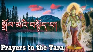 སྒྲོལ་མའི་བསྟོད་པ། Prayer to the twenty-one Taras.   #chanting #buddhistprayers