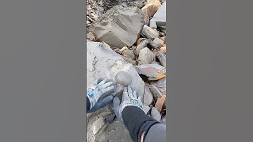 Whilst searching for fossils in Shale we found a Jurassic Age limestone ball of rock 🤯