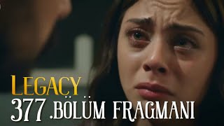 Emanet 377 Fragmanı Yamanın Acı Günü