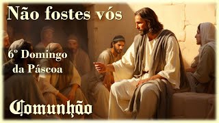 Video thumbnail of "NÃO FOSTES VÓS | 6º Domingo da Páscoa | Comunhão | Ano B"