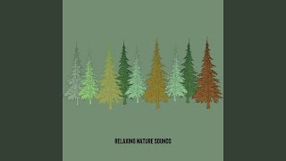 Ocean Surf - Brown Noise, Loopable