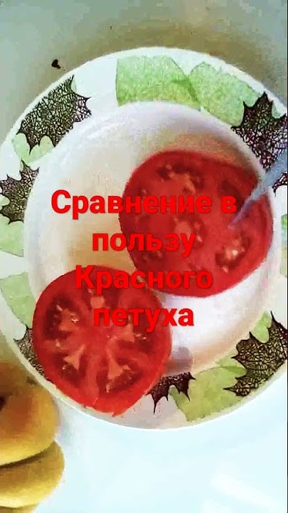 Красный петух-отличный томат!#томаты - YouTube