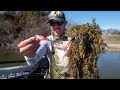 Crankbait Fishing Bass ABOVE THICK GRASS | CRUSHING IT!