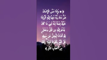 السورة: الزمر القارئ: ياسر الدوسري الاية: 8