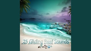 The Lapping Ocean