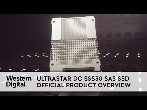 Maximize Server and Storage Scalability with Ultrastar DC SS530 SAS SSD