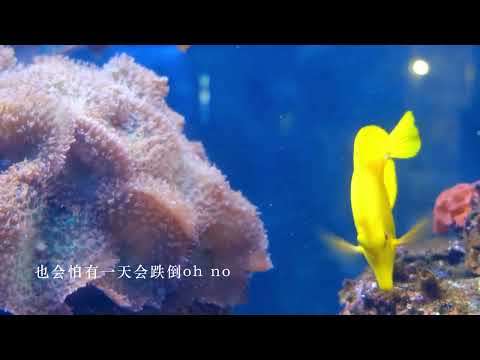 海阔天空 beyond （动态歌词）flac无损音乐