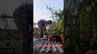 Day 7 pad laga bhidu #environment #tree #treeplantation #conservation #awareness #planttrees