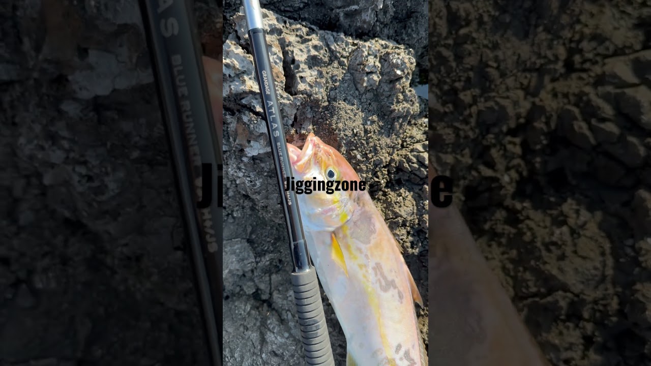 Μαγιάτικο | Apia atlas 93hh+ jig special #shorejigging #mancing #daiwa #saltiga #psarema #ψάρεμα