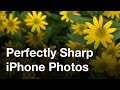 Secret iPhone Camera Feature For Perfectly Sharp Photos