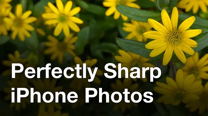 Secret iPhone Camera Feature For Perfectly Sharp Photos - DayDayNews