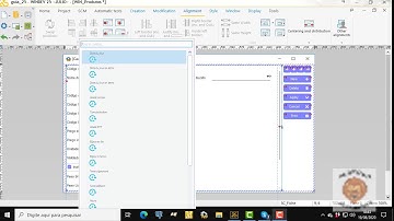 Guia Windev 25 - aula 111- Mudando o layout de um formulário.