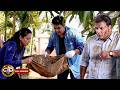 पंकज ने गार्डन में दया पर हमला क्यों किया? | CID | Latest Episode #2026 #garden #crime #love #pyar