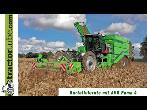 Potato harvest with AVR Puma 4