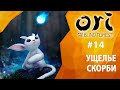 Прохождение Ori and The Blind Forest #14 - Ущелье Скорби