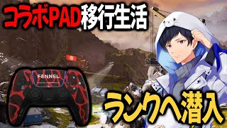 お久ランク潜入！PADに移行してしまいました。w/大和周平【APEX】